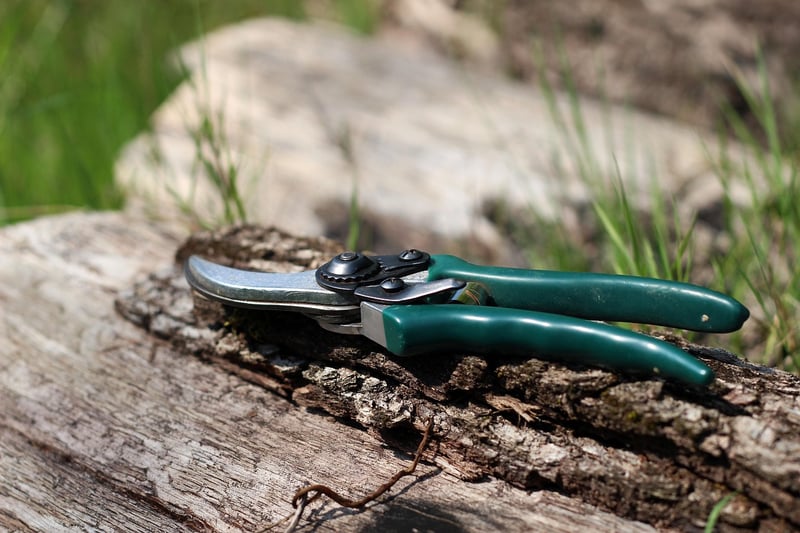 Elven Pruning Techniques
