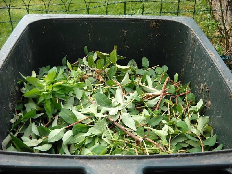 Troll Composting Seminars