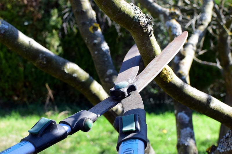 Centaur Pruning Shears